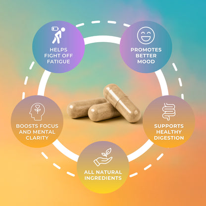 Biotonia Yerba Mate Capsules