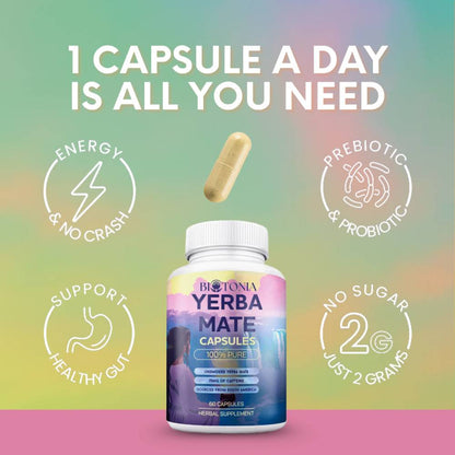 Biotonia Yerba Mate Capsules