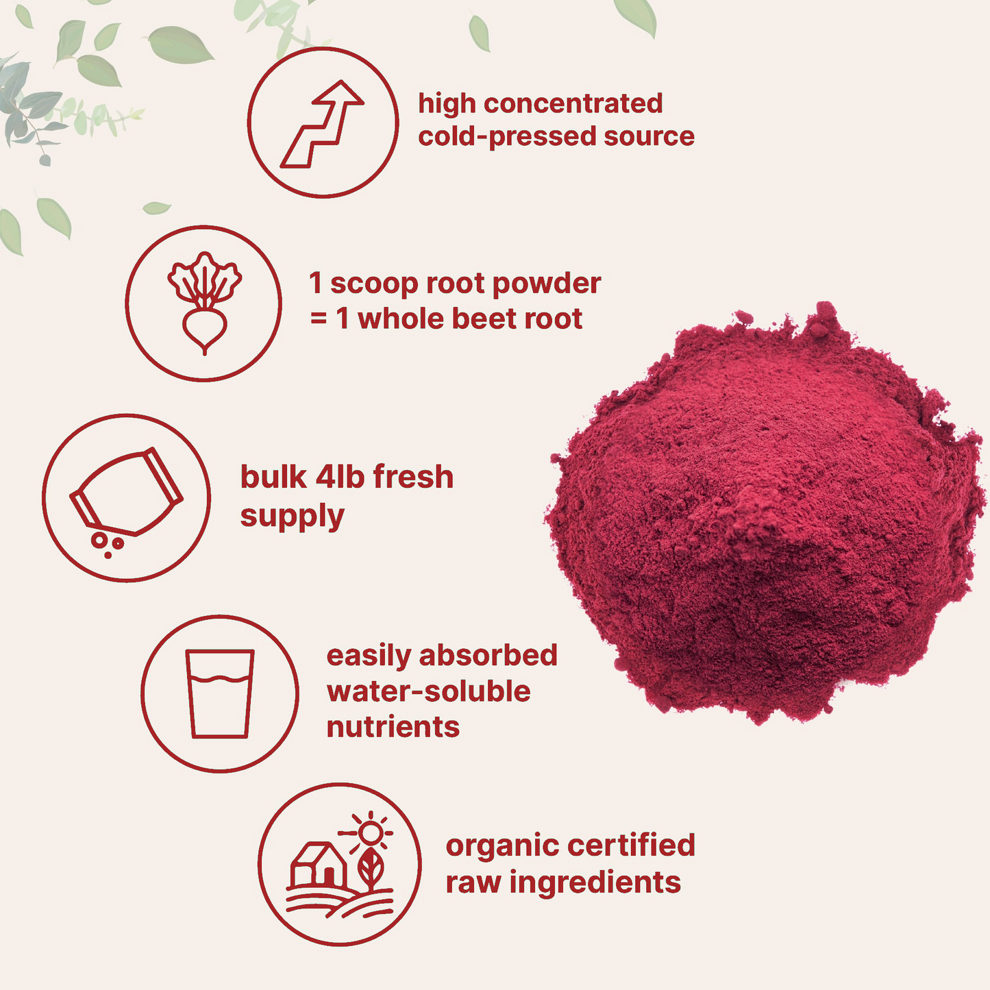 Ocayen Beet Root Powder